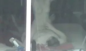 PREGNANT در مدل چت تصویری تصاویری ازکس وکیر 9 ماهه