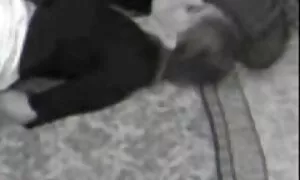 سرخ از رابطه جنسی مقعد تصاویر سکسی کس وکیر عصبانی است
