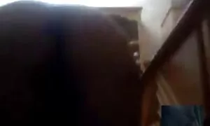 همکار من نستیا اسلاوی سکسی سیاوش دلسوز در بالی انداخت